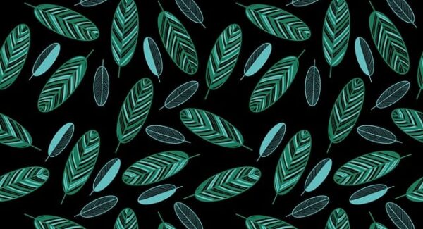 金旋论坛新风向：探讨网络赚钱社区的未来趋势