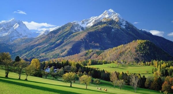 中创网热门项目：暮沉网赚与中赚网的协同效应