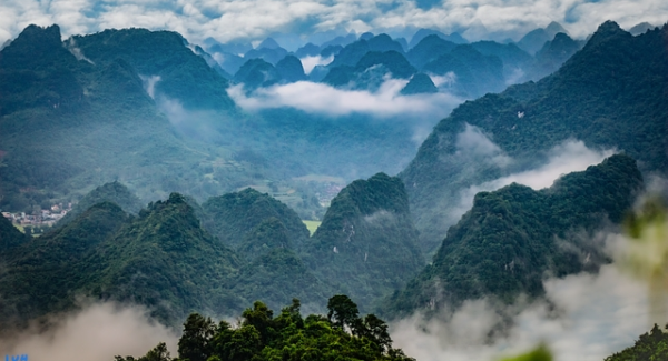 福缘创业网成功案例：福缘网站论坛的创业智慧分享