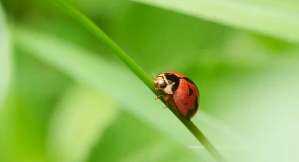 新番号库资源速递：自媒体人不可错过的素材宝库