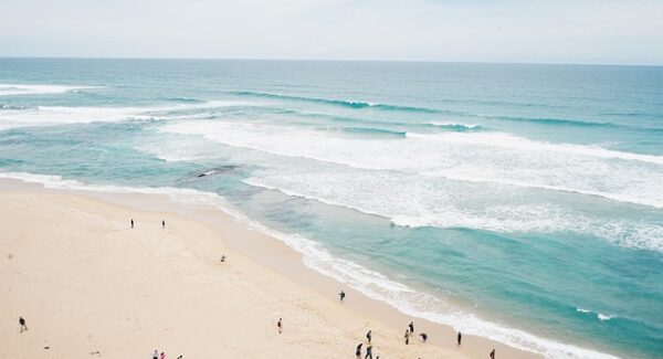 中创网热门项目解析：揭秘中赚网与中创网背后的赚钱逻辑