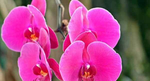 Google网赚新机遇：解锁全球网赚市场，你也可以