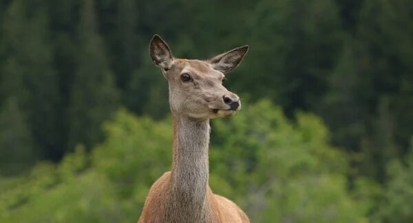 项目网站源码解析：如何挑选适合你的项目网站源码