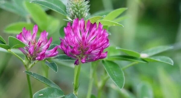 创业网址大全更新：发现更多创业与网赚资源