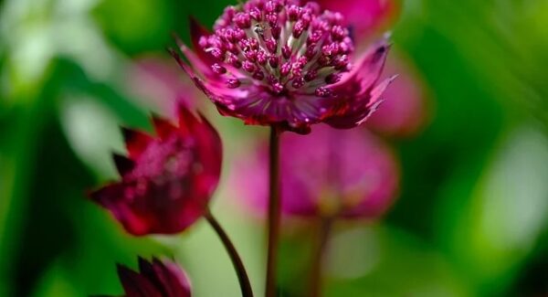 百度快照更新策略：如何让你的网站快照更及时