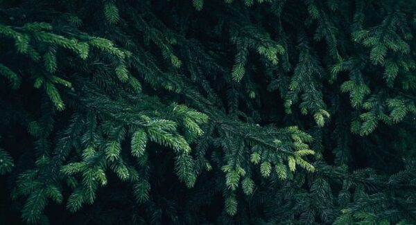 【中创网官网权威解读】中创网络是否值得你信赖？