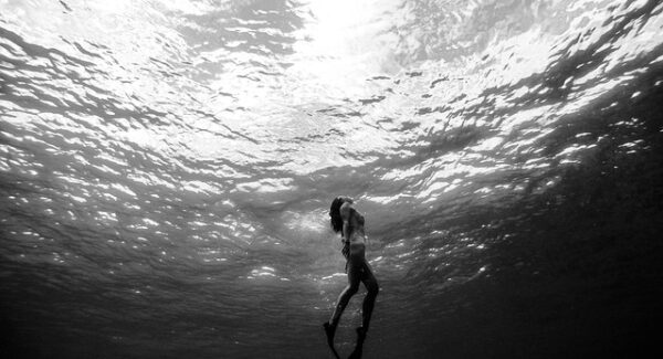 新手必看的网赚创业指南：整合网赚资源与创业项目论坛