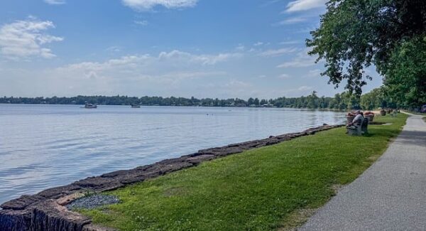 无本创业新机遇：在网赚团购中寻找你的第一桶金