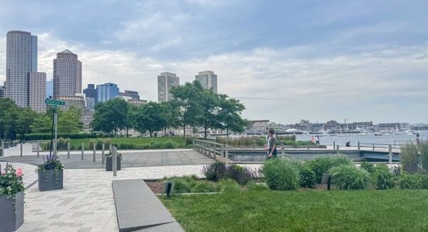 百度站长工具助力网赚学习：从seovip到每天一贴的SEO实战