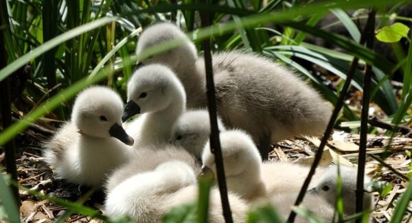 福缘创业网实战：福缘网站论坛助你创业无忧