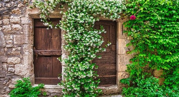 【快速获取百度排名的艺术】结合百度快速排名优化技巧