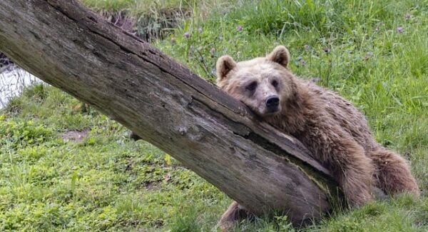 创业网址大全整理：收藏这份大全，创业路上不迷路