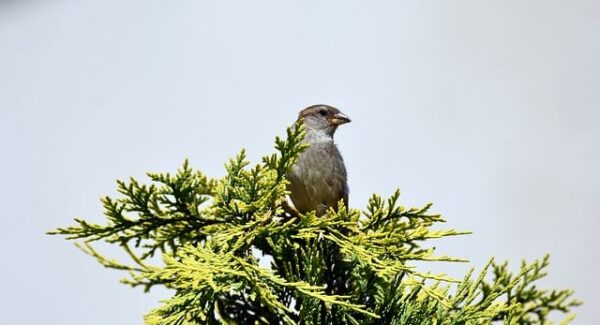 免费赚钱项目资源站的秘密：如何有效利用资源站盈利