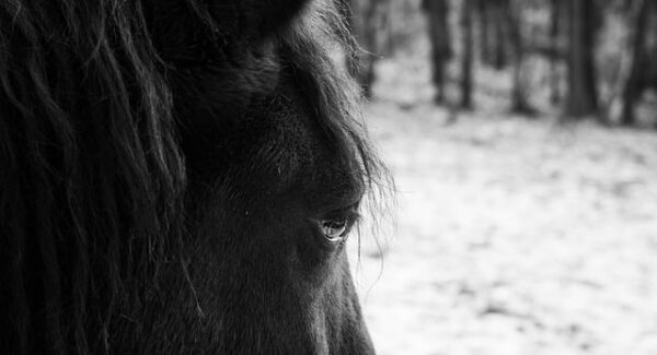 项目网创业攻略：小鱼项目网&小淘网赚论坛资源大放送