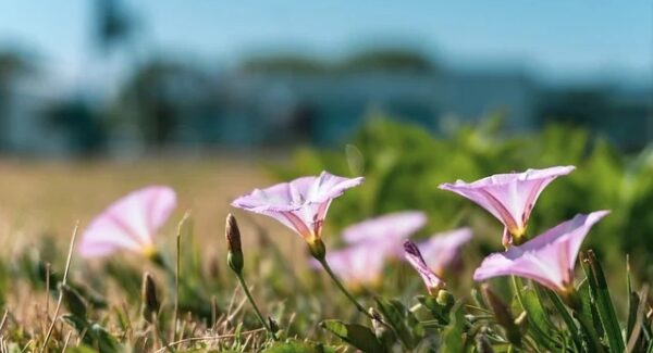 最火的网赚论坛：项目大巴网赚的快速成长