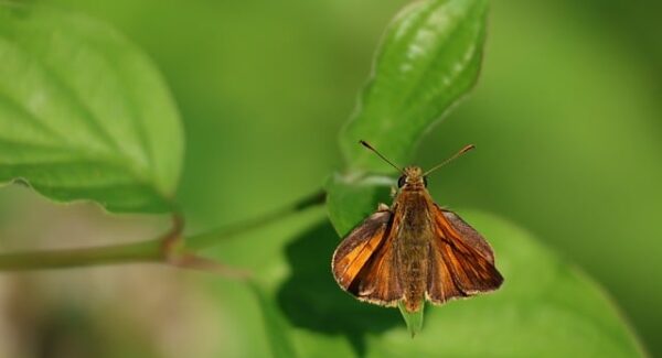 金旋论坛网赚高手分享：揭秘网赚秘诀