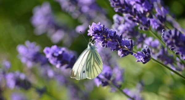 网赚暴利群项目推荐：网赚新机遇
