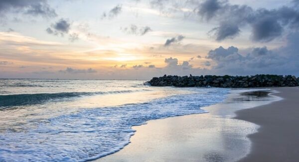 中创网络的SEO优化：如何利用中赚网论坛提升排名