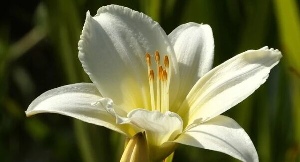 快速获取百度排名的技巧：结合百度快速排名与SEO资源