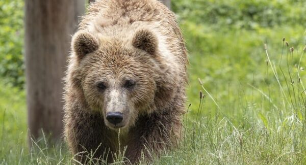 贴吧吧主怎么赚钱？揭秘吧主们的盈利之道