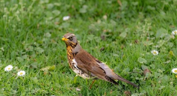 【月云网赚论坛精华】学习网赚，从这里起步