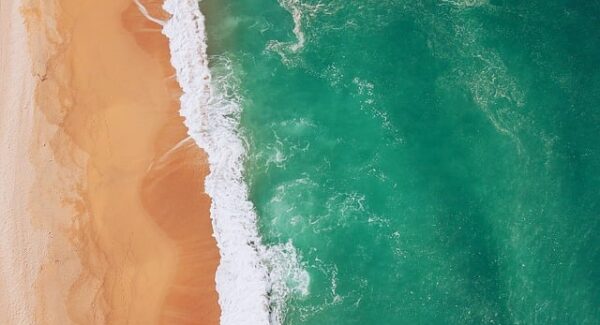 小淘学社论坛热点：探讨小鱼项目网与网创项目的融合之道