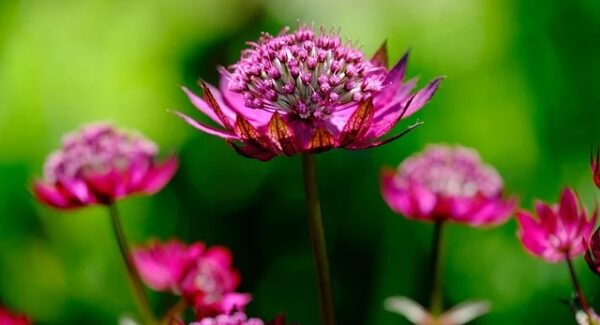副业项目资源网精选：为你的副业之路提供动力