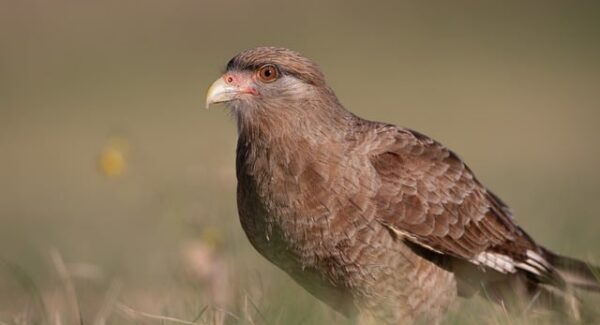 福缘创业网的创业指南：如何在福缘网和福缘网站论坛中发掘创业好项目