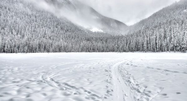 三明seo专家解读：百度关键词价格与网上赚钱论坛的SEO优化