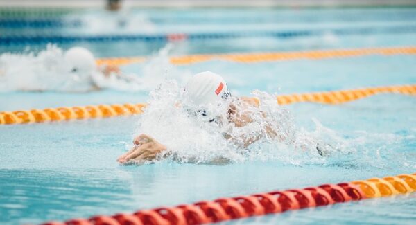 中创网热门项目揭秘：金旋风网赚的实用技巧