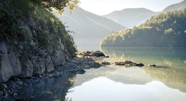 冒泡创业网实战课堂：从副业项目网到创业成功的飞跃