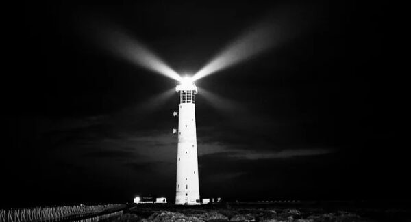 番号库官网更新：最新番号库资源，自媒体人必备