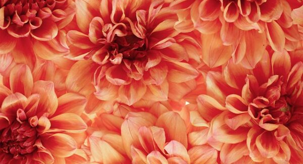 最新番号库资源精选：自媒体人必备素材库