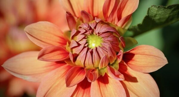 我要赚钱网创业指南：你的创业赚钱好帮手