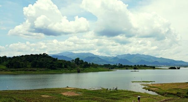 说钱网引领潮流：网络赚钱论坛中的SEO赚钱新趋势