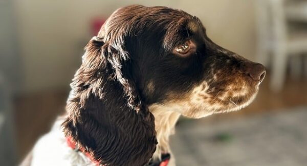 暮沉资源站的网赚策略：如何在副业项目网和中赚网中找到赚钱的项目