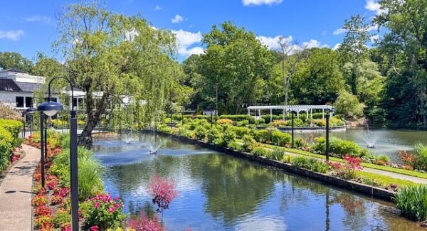 网赚项目与网络视频营销的结合：致富金点子在创业网的大放异彩