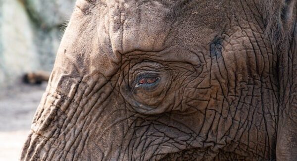 网赚创业的黄金法则：网赚资源与创业项目论坛的结合策略