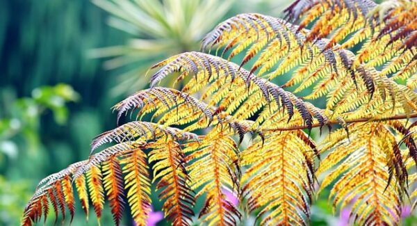 网站赚钱新途径：结合SEO每天一贴与网赚项目下载的双赢模式