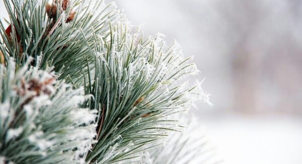 项目大巴网赚秘籍：带你领略不一样的网赚旅程