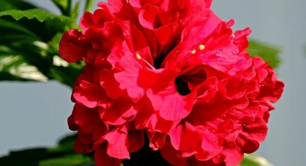 关键词排优化实战：利用百度指数分析工具提升SEO效果