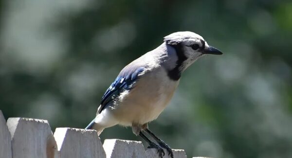 网创项目资源站深度评测：哪个网站更适合你的需求？