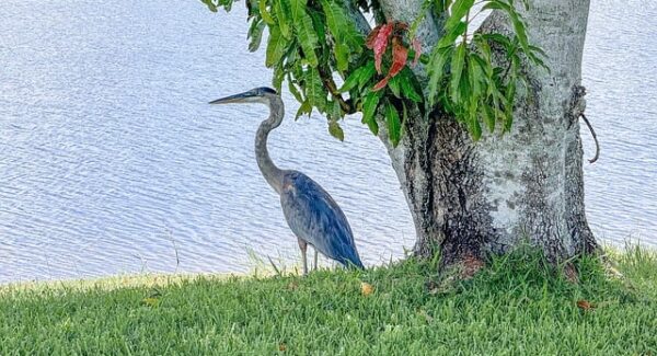 从竞价赚钱到创业网络：一站式解决你的网上创业难题