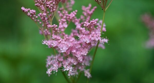 【零花钱新来源】手机上干点啥能挣零花钱？正规平台告诉你答案