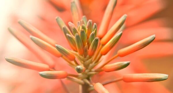 【冒泡创业网独家揭秘】冒泡创业网：自媒体与副业项目的完美结合