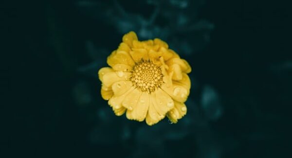 网络赚钱教程更新：学习最新网赚技巧