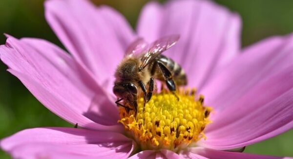 关键词排优化实战技巧：提升你的网站搜索可见度