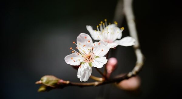 零成本高回报：无需本金，十分钟赚800，网赚新机遇