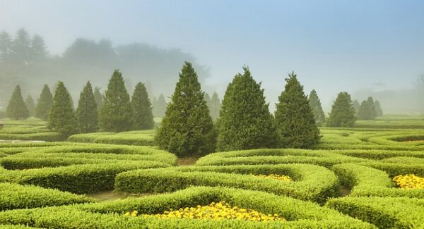 小旋风站群与SEO资源：打造你的网站排名帝国