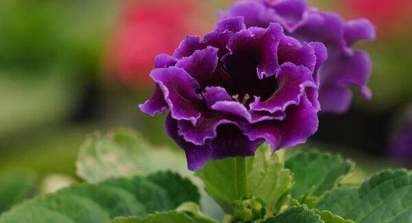 【文案优化实战】文案网站推荐，提升你的内容吸引力